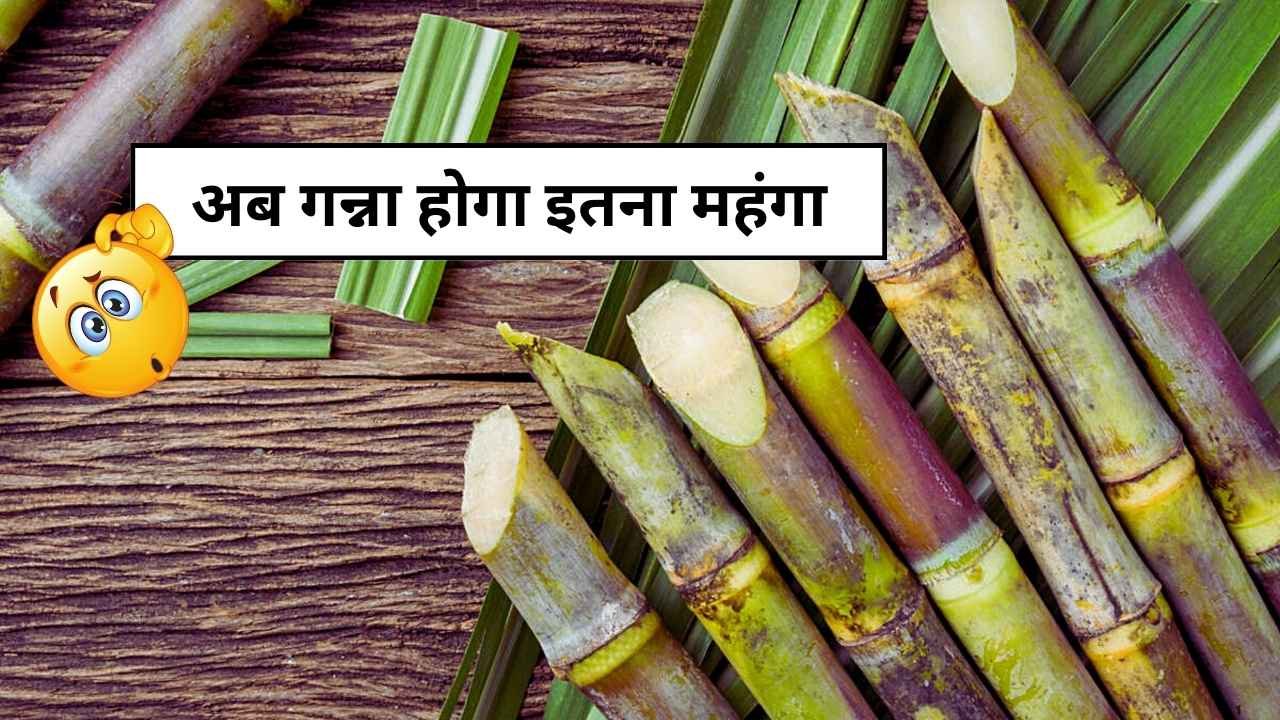 Sugarcane Price 22