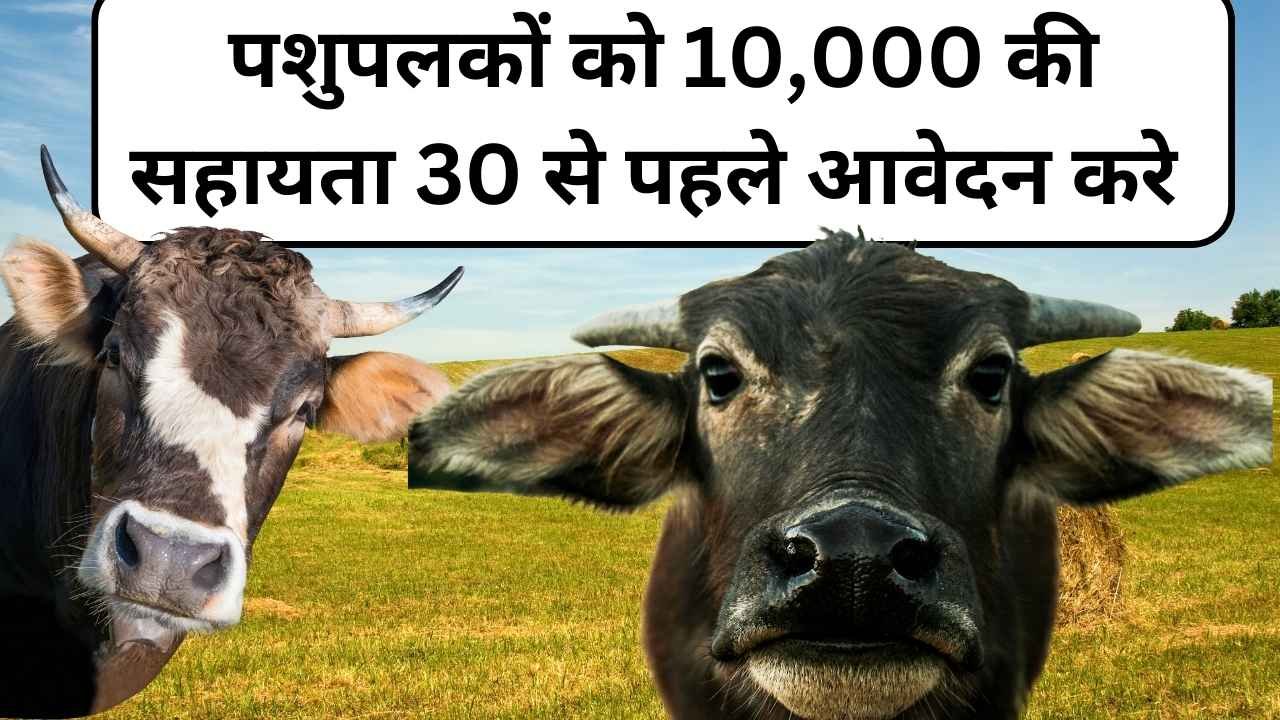Govt Yojana