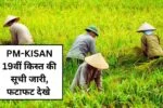 PM-KISAN 19वीं